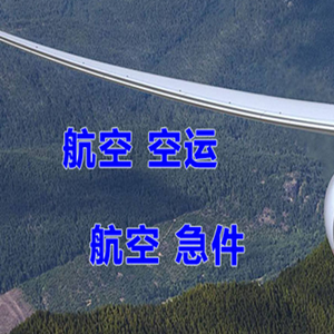 新源那拉提航空快递快递-选东方航空和上海航空